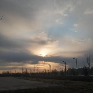 免费看裸体美女www
