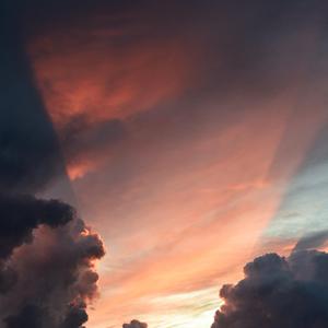 免费看裸体美女www
