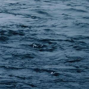 免费看裸体美女www
